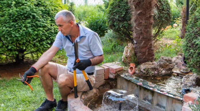 Kertépítés kezdőknek: Gyakori hibák és hogyan kerüljük el őket